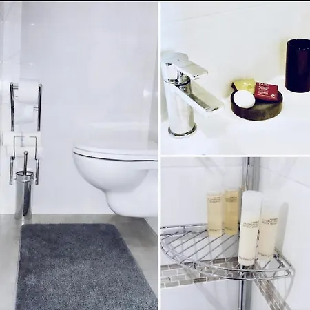 Luxury New Modern Apptmt In Center Of Apartment